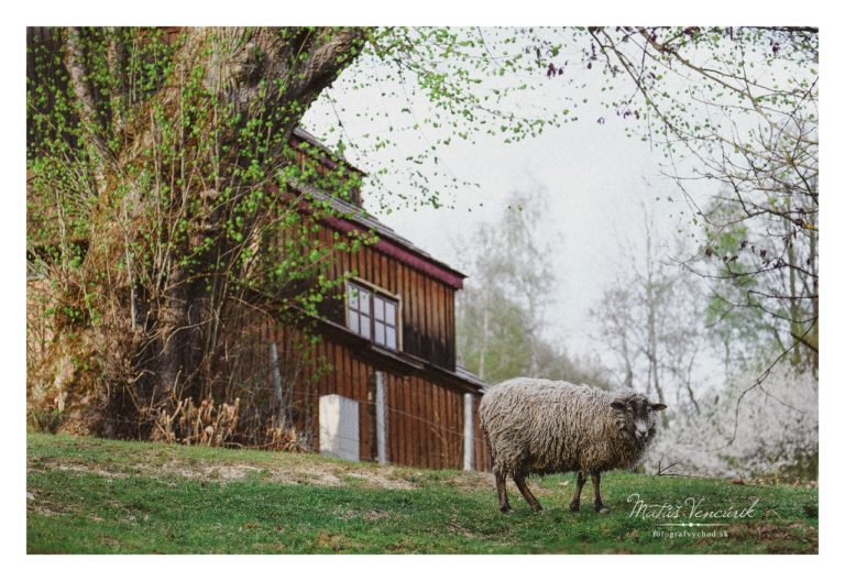 Obec Príkra, fotografie, Vencúrik, Najmenšia obec na Slovensku